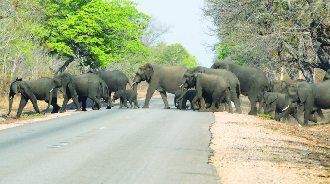 Where wildlife populations ‘vote’ for international hunting