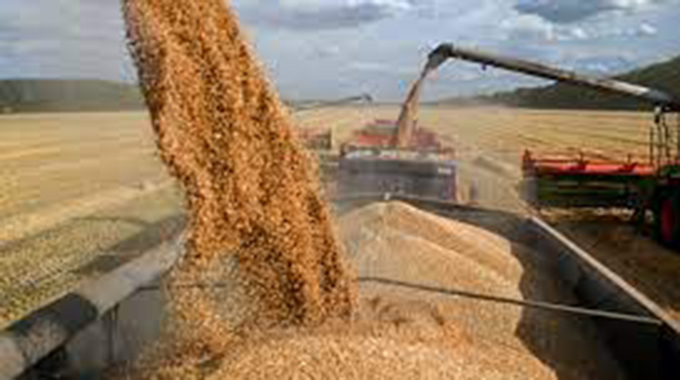 Zimbabwe projected to record grain surplus of 812 000 metric tonnes