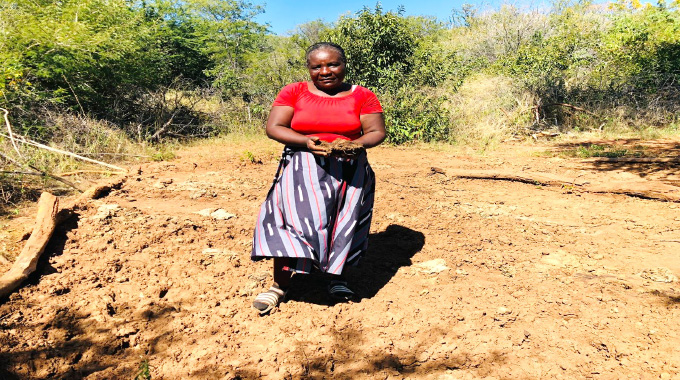 Moveable kraals bring new hope to Hwange’s smallholder farmers
