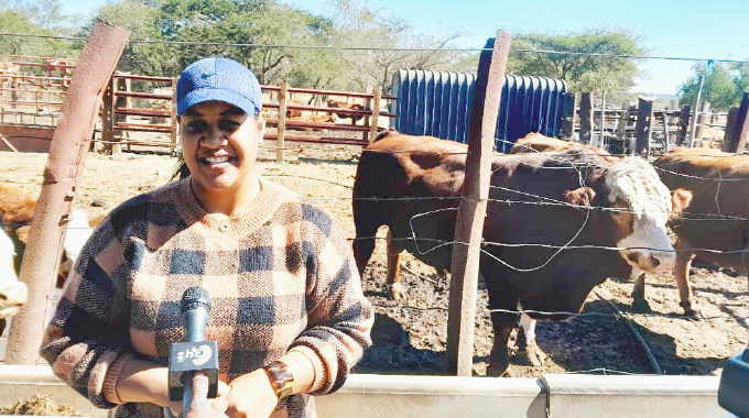 Kwekwe dairy farmer powers Zimbabwe’s agrarian revolution