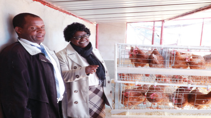Townsend High School thrives through innovative agricultural initiatives