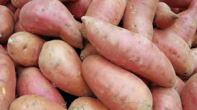 Using sweet potatoes and stories to demystify nutrition, science