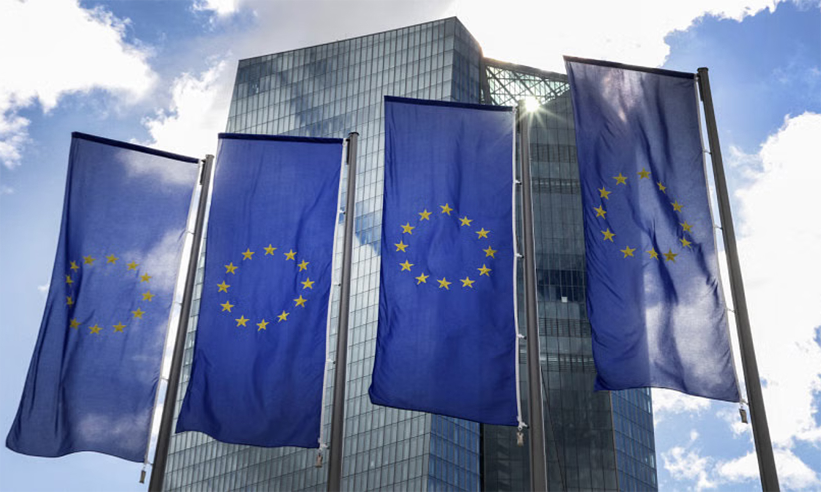 Euro zone firms warn of slowing economy: Poll