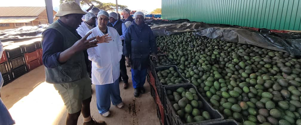 Zimbabwe, Nicaragua eye agricultural cooperation