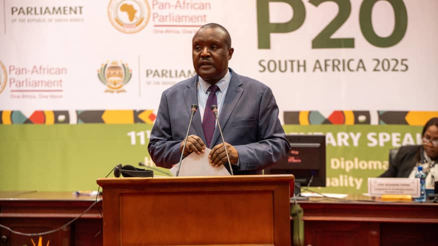 NEW: Pan-African Parliament wants women, youths voice at G20 summit