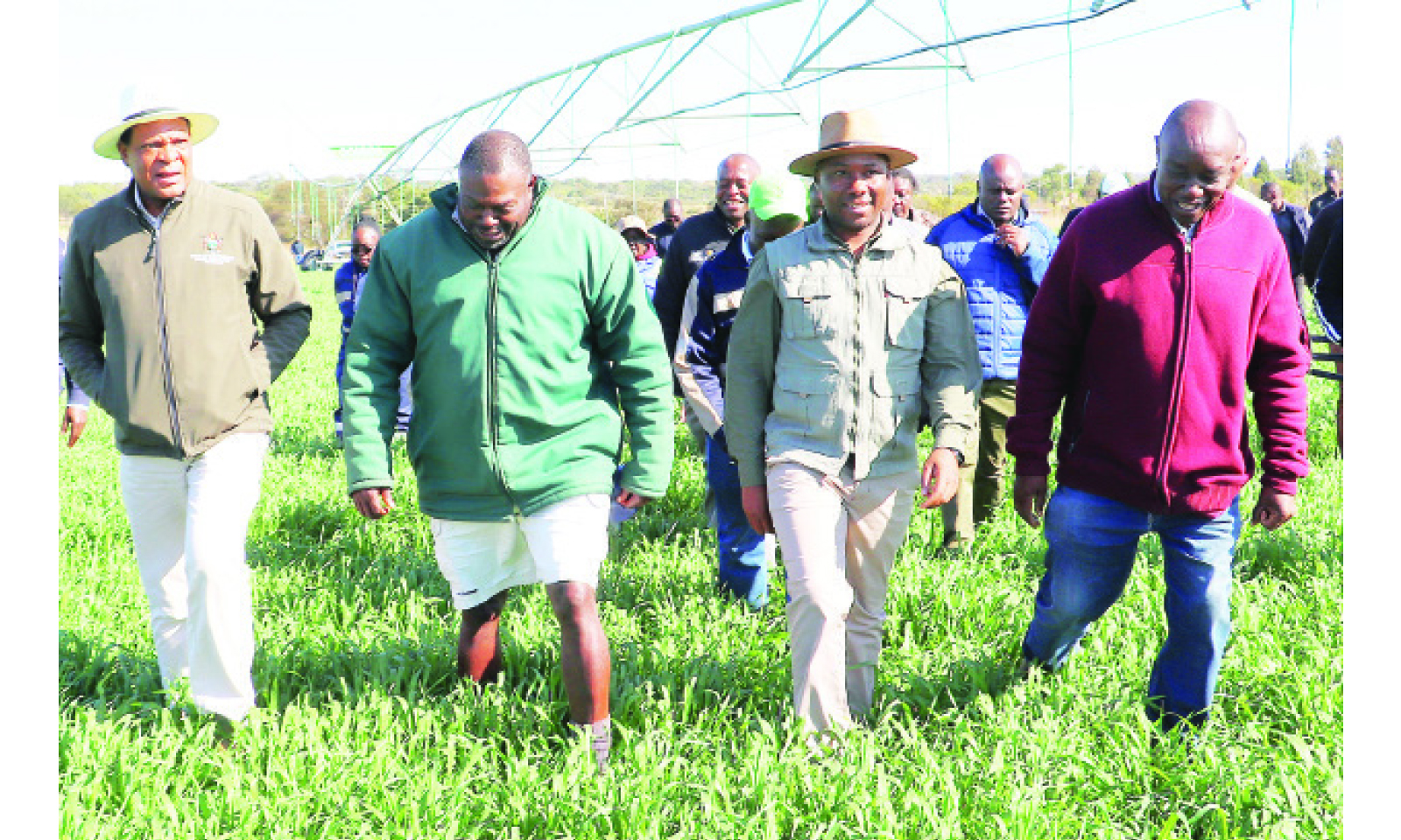 Zim set for historic wheat harvest amid optimal conditions
