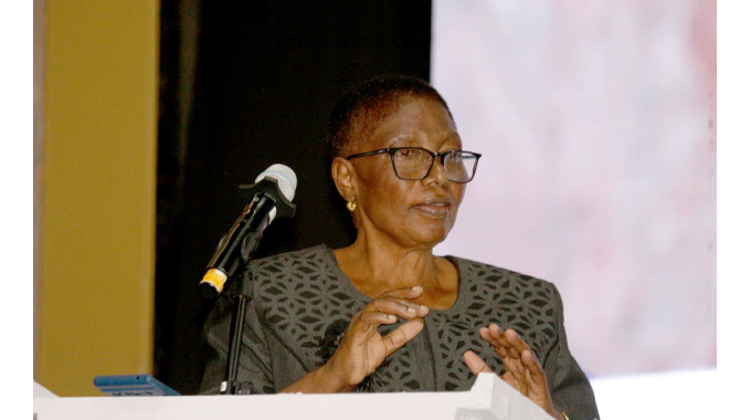Victoria Falls commended for US$4,5m Wash project