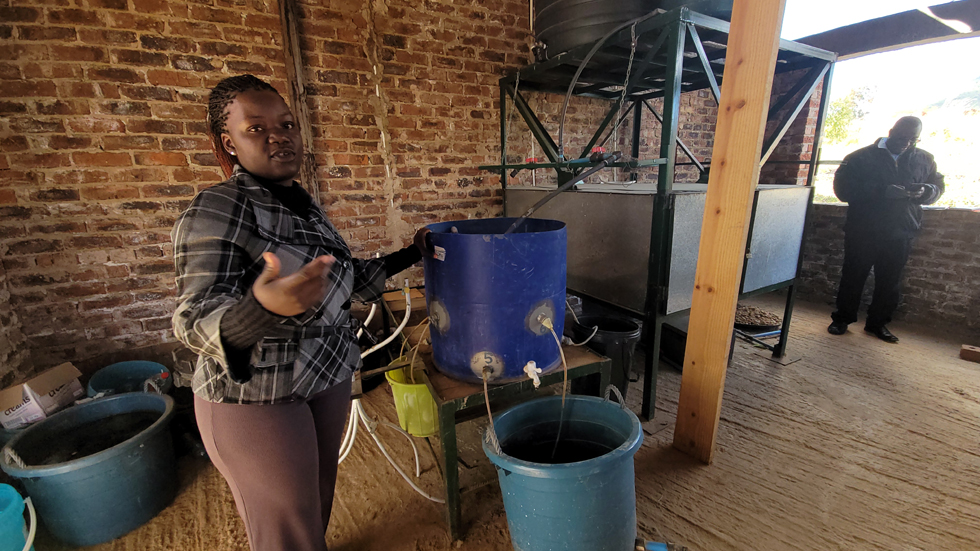 Manicland State University of Applied Sciences Assistant Lecturer Ms Fortunate Charangwa explains how the innovation plant works. – Picture: - Tinai Nyadzayo