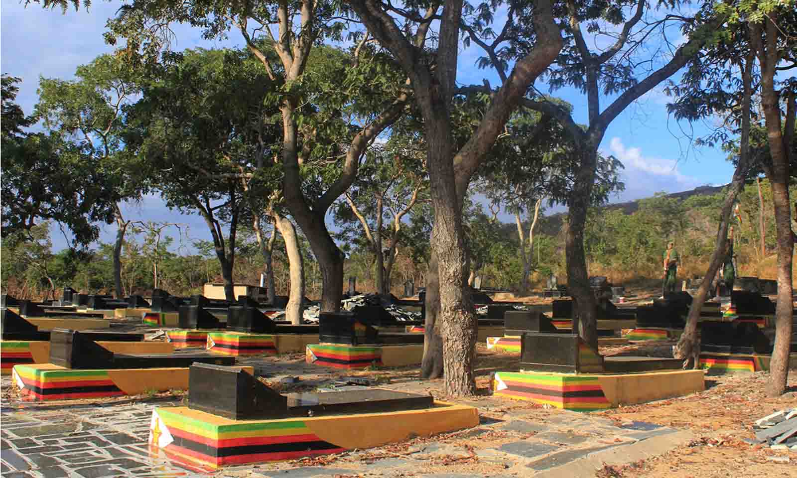 The testimonies of brutal killings, mutilations, and burnings of freedom fighters by Rhodesian forces paint a grim picture of the war
