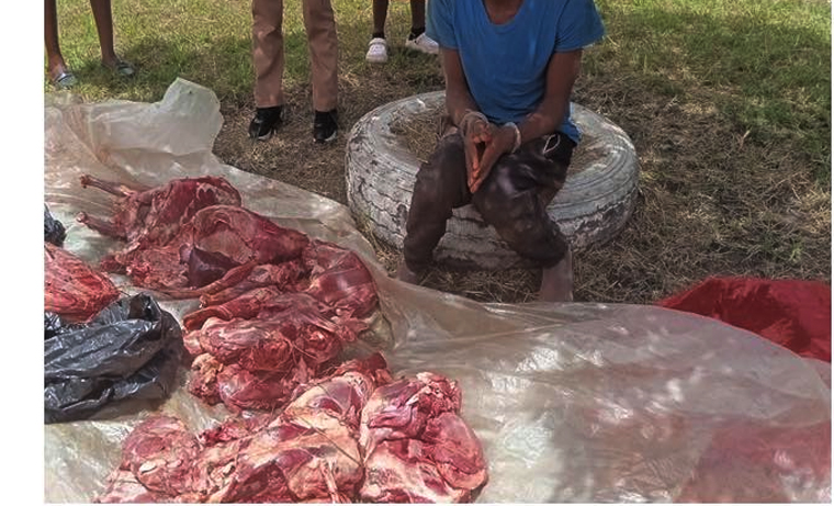 Police chief calls for unity against stock theft