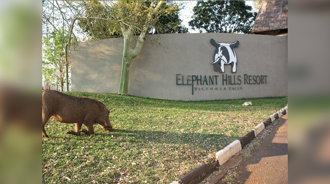 Econet hosts exclusive golf tournament for top clients ahead of Vic Falls Marathon