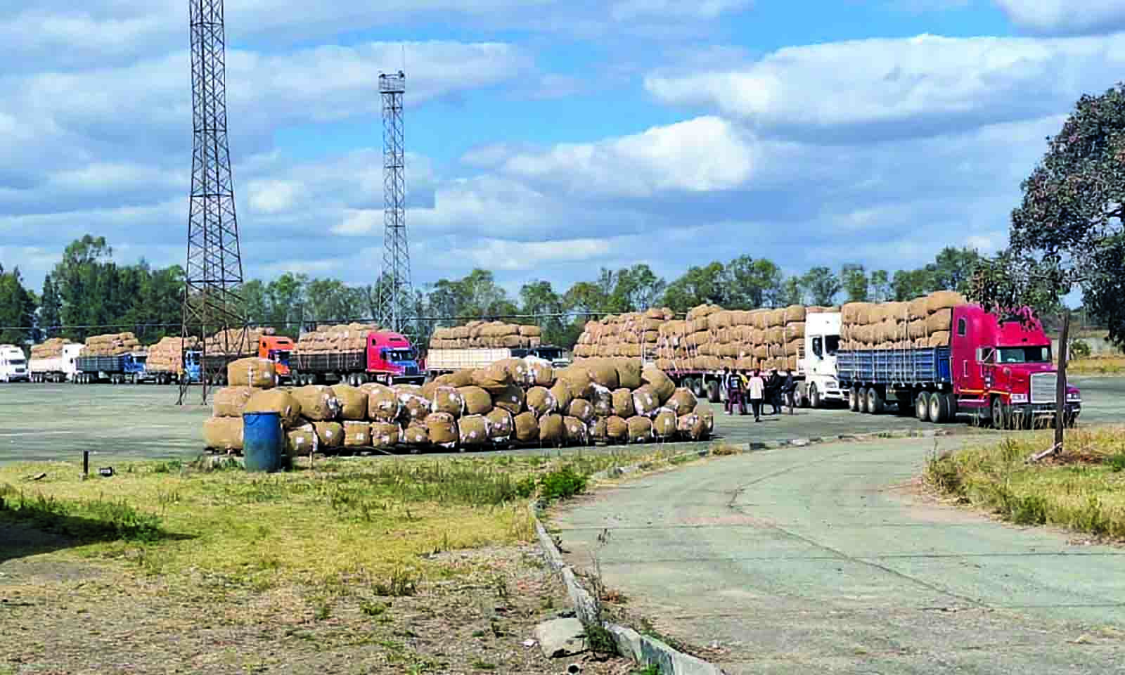 Southern Cotton embarks on operations expansion