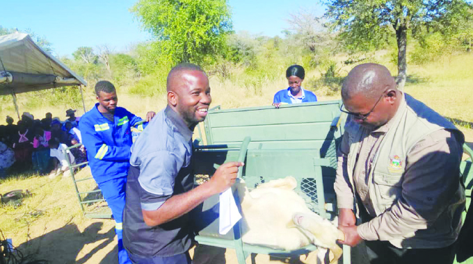 From research to riches: How LSU’s innovation hub is transforming rural farming in Lupane District