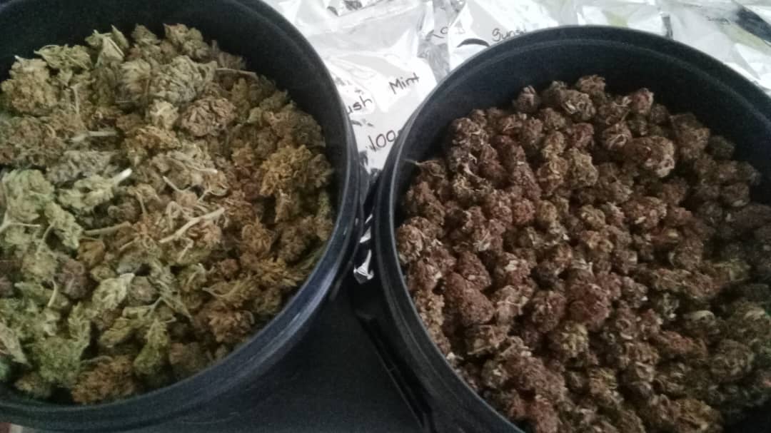 COKE COUPLE BUSTED! Bulawayo lovebirds nabbed with juiced up mbanje stash