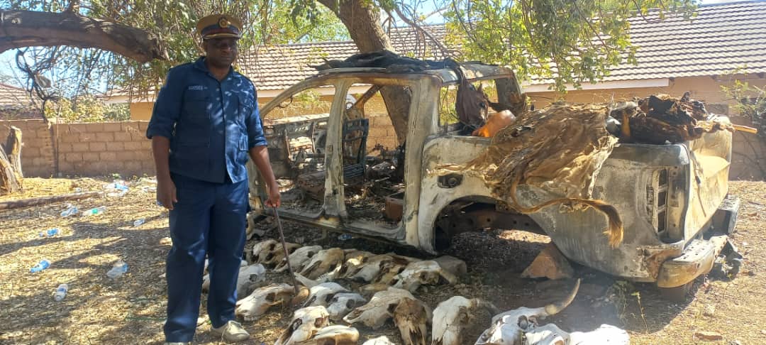 RUSTLERS ROUNDED UP! Police bust Beitbridge cattle theft gang, 12 arrested