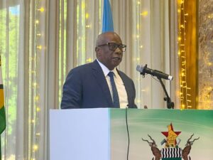 United Nations Resident and Humanitarian Coordinator Mr Edward Kallon