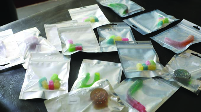 DRUG BUST DRAMA: Police dogs sniff out Old Lobengula peddler