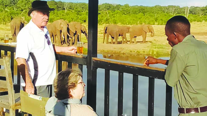 The world through the eyes of an elephant, Victoria Falls’ jumbo crew exhibits of love for wildlife conservation