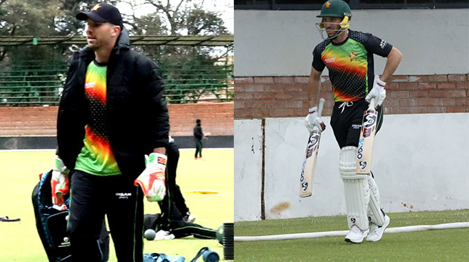 Brendan Taylor back in Chevrons fold