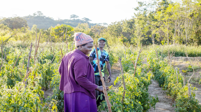 From spoilage to sustainability…Rural farmers fight food loss, climate shocks
