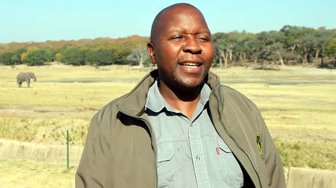 Vultures on the brink of extinction in Hwange National Park