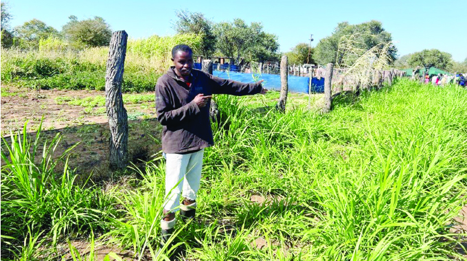Government rolls out feed formulation training programmes