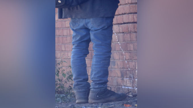 ‘Wail’ Bulawayo trees! The cost of a shifting drinking culture… Public urination, ‘dollar deals’ threaten trees, streets
