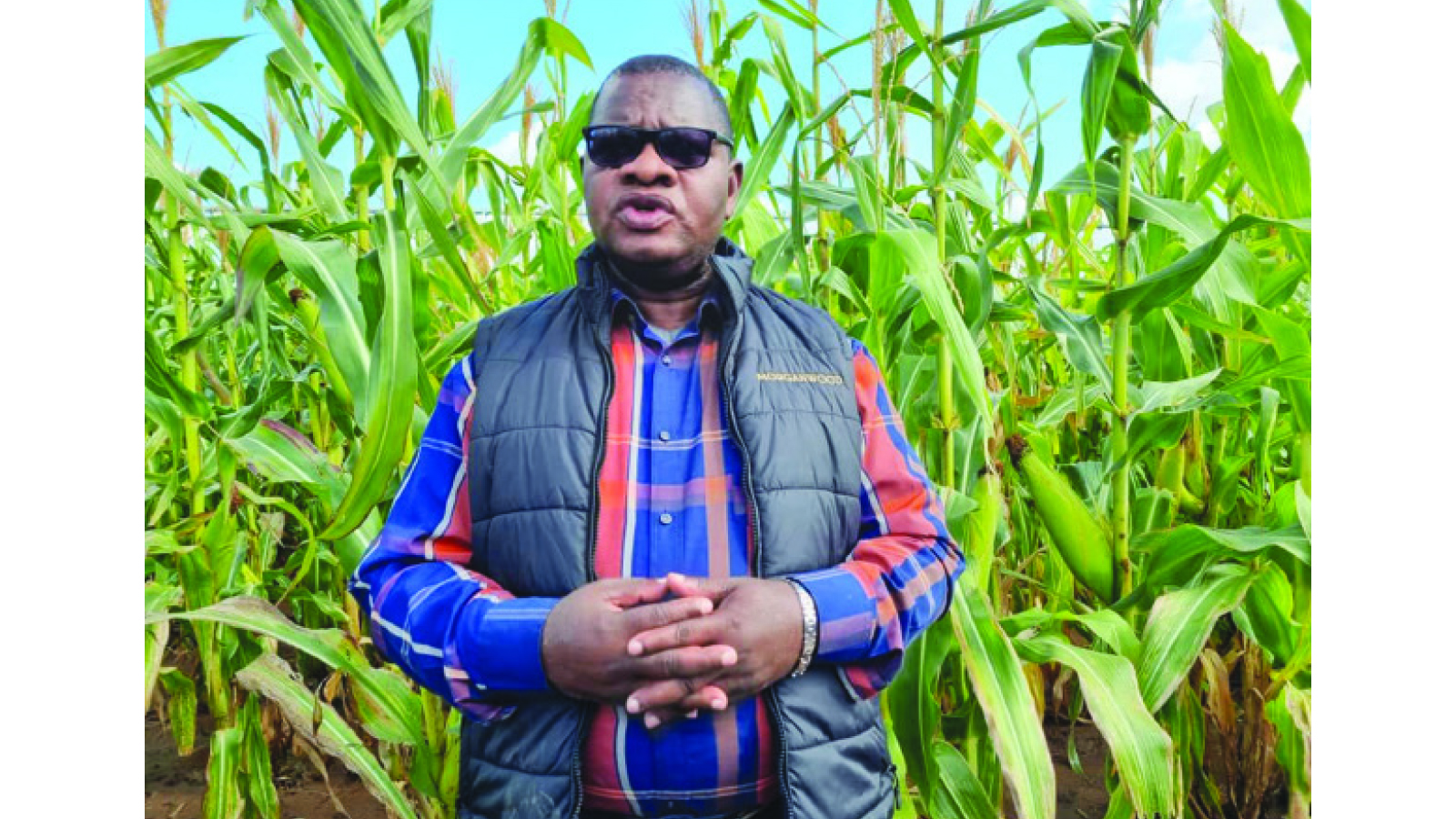 Global seed giants seek to make Zim breeding hub