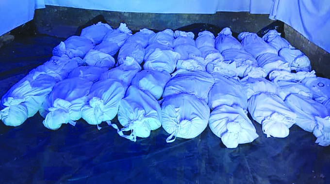 In the shadows of the departed. . . A haunting journey exhuming slain liberation fighters
