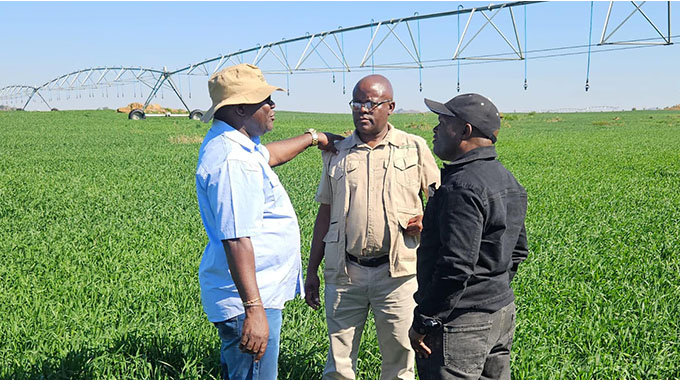 Government intensifies Quelea Bird control measures