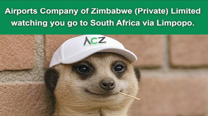 Corporate Zimbabwe joins Timon meme craze