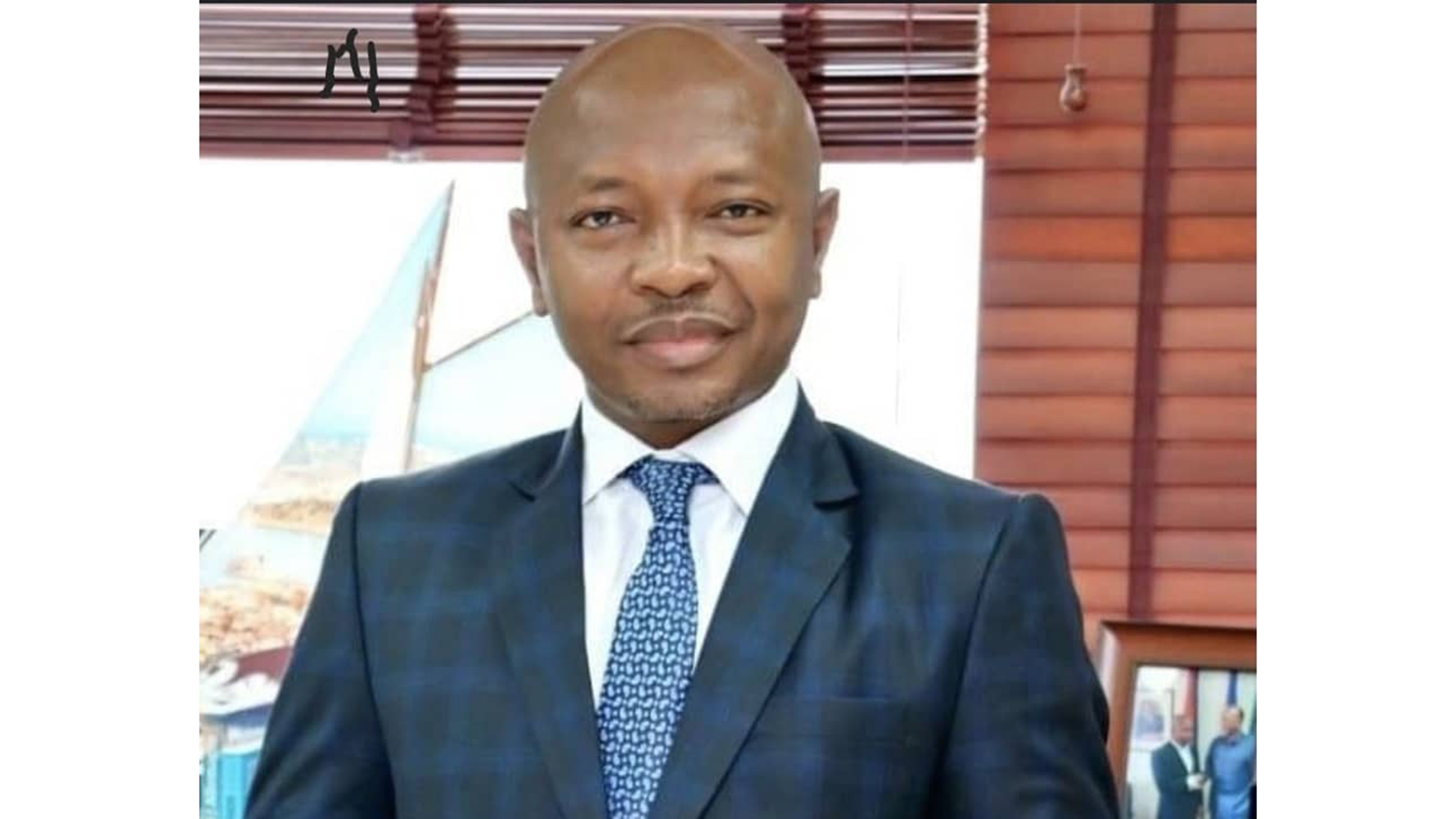 Nigeria urged to lead push for visa-free Africa