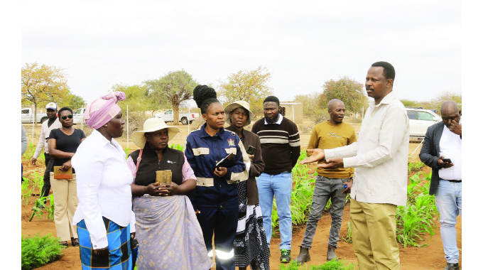 Village Business Units a game changer in transforming lives