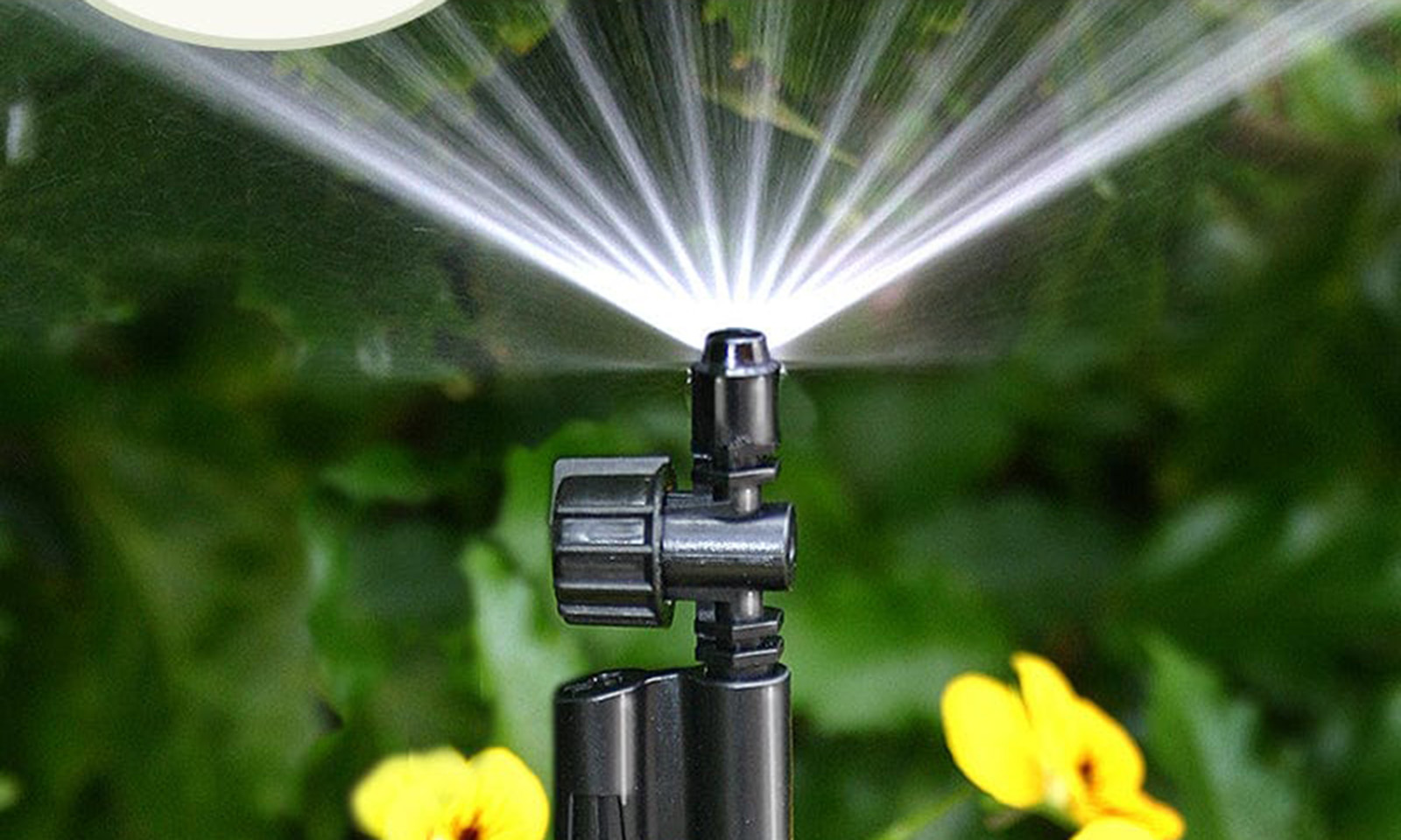 COMMENT: Irrigation key to food security in Mat South