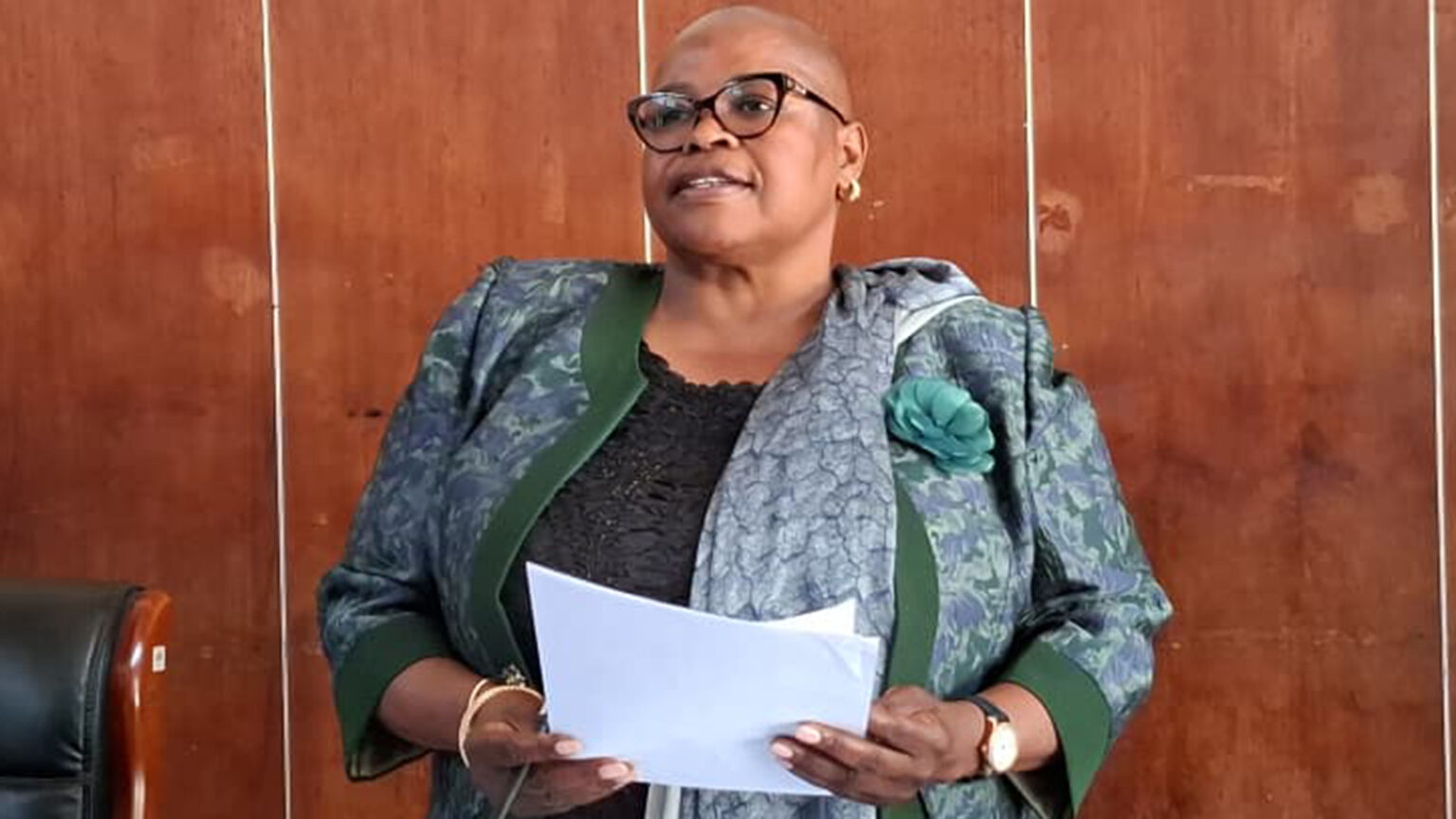 Minister Chombo urges Government departments to double resolve - herald
