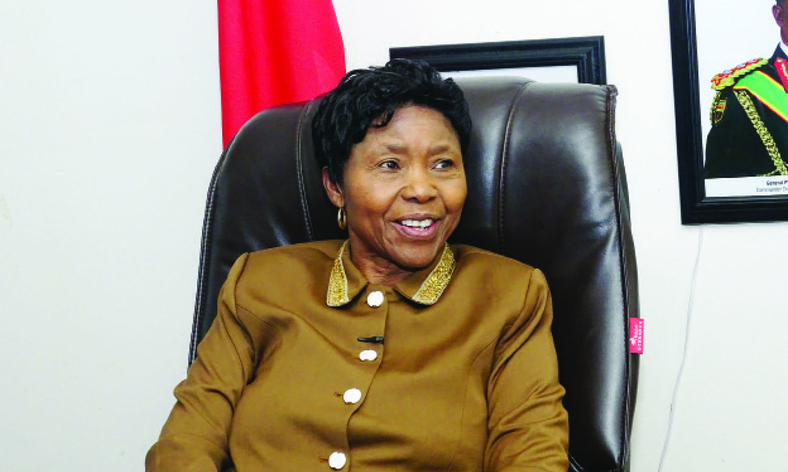 ZDF to establish construction brigade