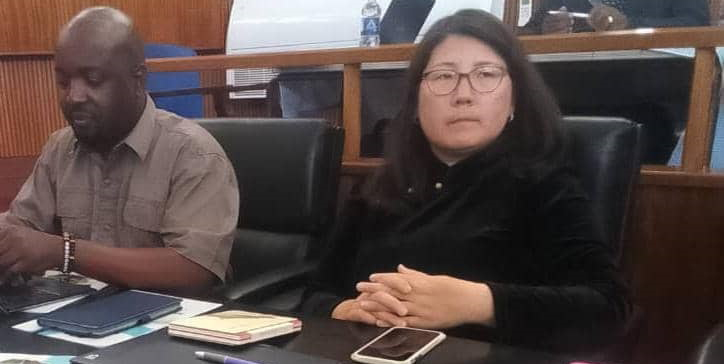 Mr Kudzai Ndidzano, the Ministry of Environment, Climate and Wildlife Acting Director Climate Change Management Department and Climate Change Scientist and ICAT Zimbabwe Country Manager, Ms Jingjing Gao follow proceedings during a workshop at Mutare Civic Centre in Mutare on Tuesday
