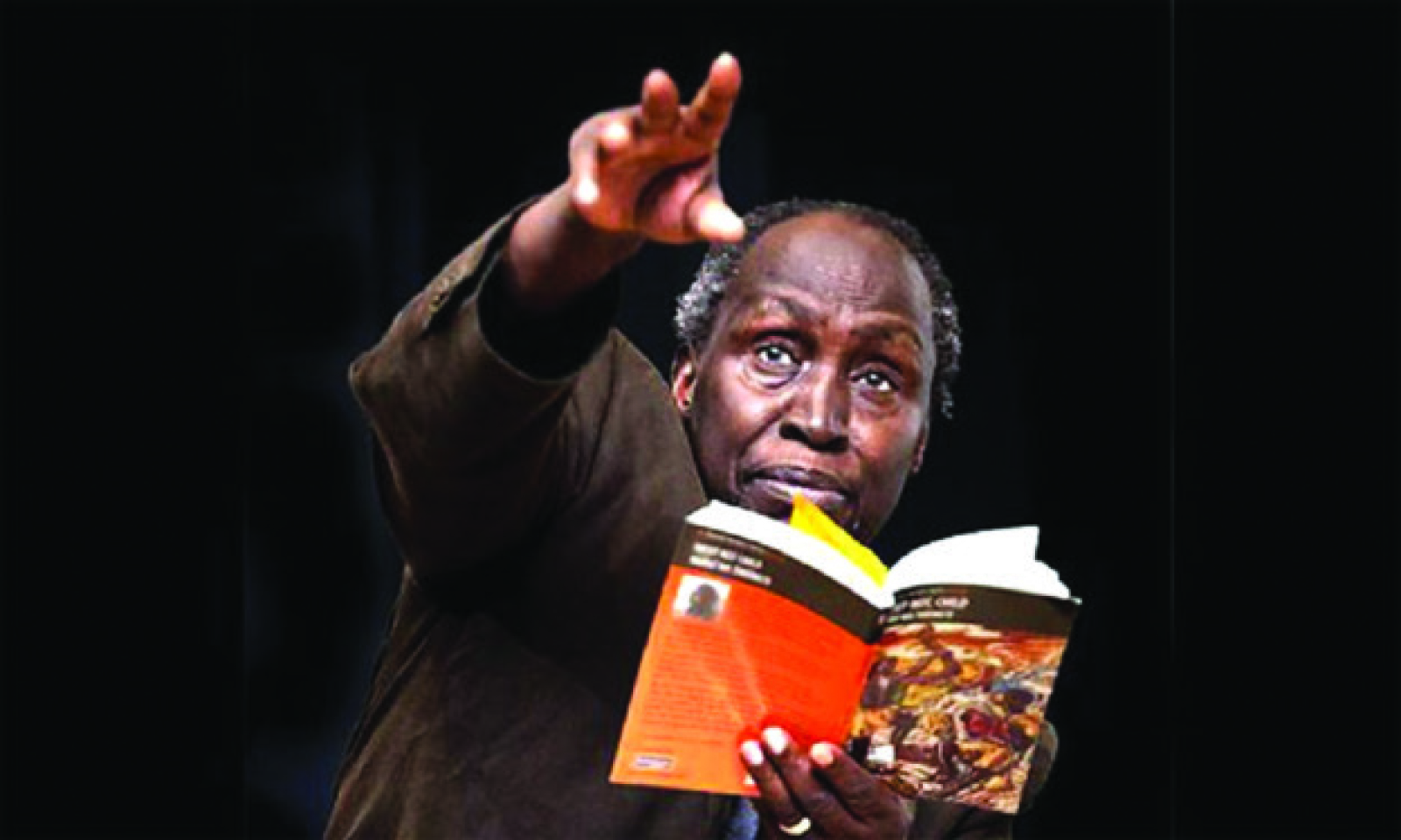 The satirist as truth’s last line of defence