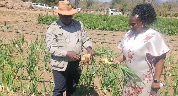 Professor Jiri being shown onions being grown in Mwenezi District by Mrs Sarudzayi Mboweni