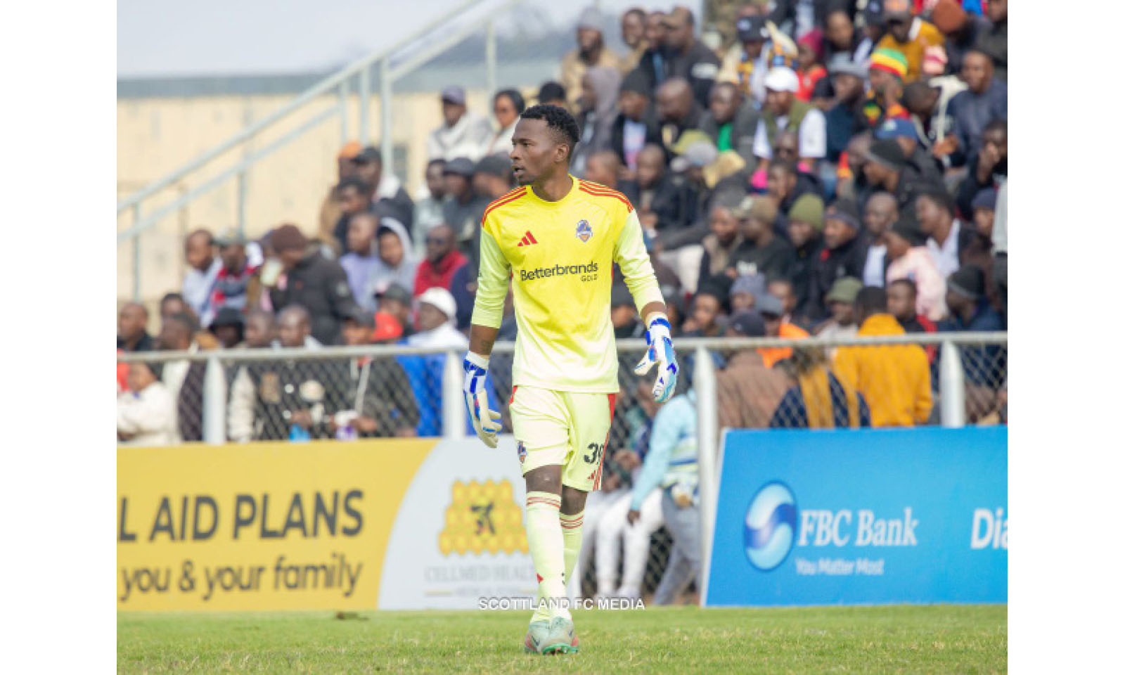 Shangiwa, Scottland’s lucky charm?