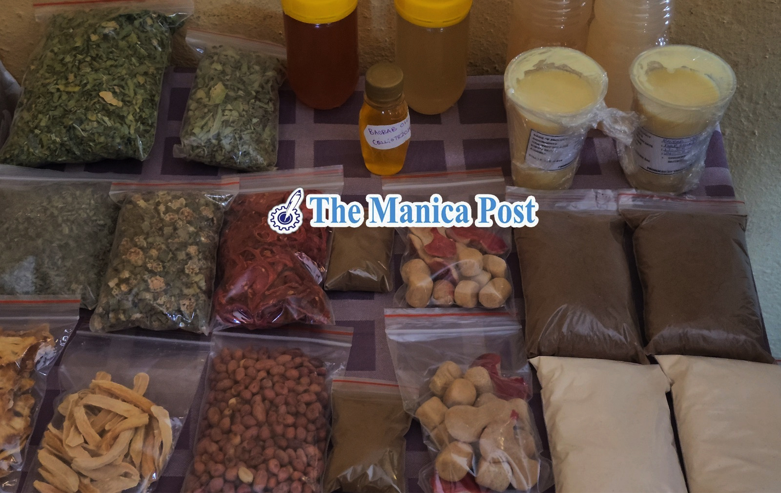 Chimanimani Good Food, Music and Seed Festival rolls to life