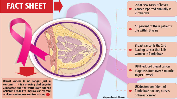 UK specialists empower local medics in breast cancer fight