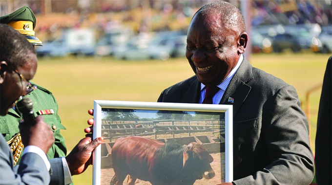 Bulawayo City Council takes investment drive to Zimbabwe Agricultural Show 2025