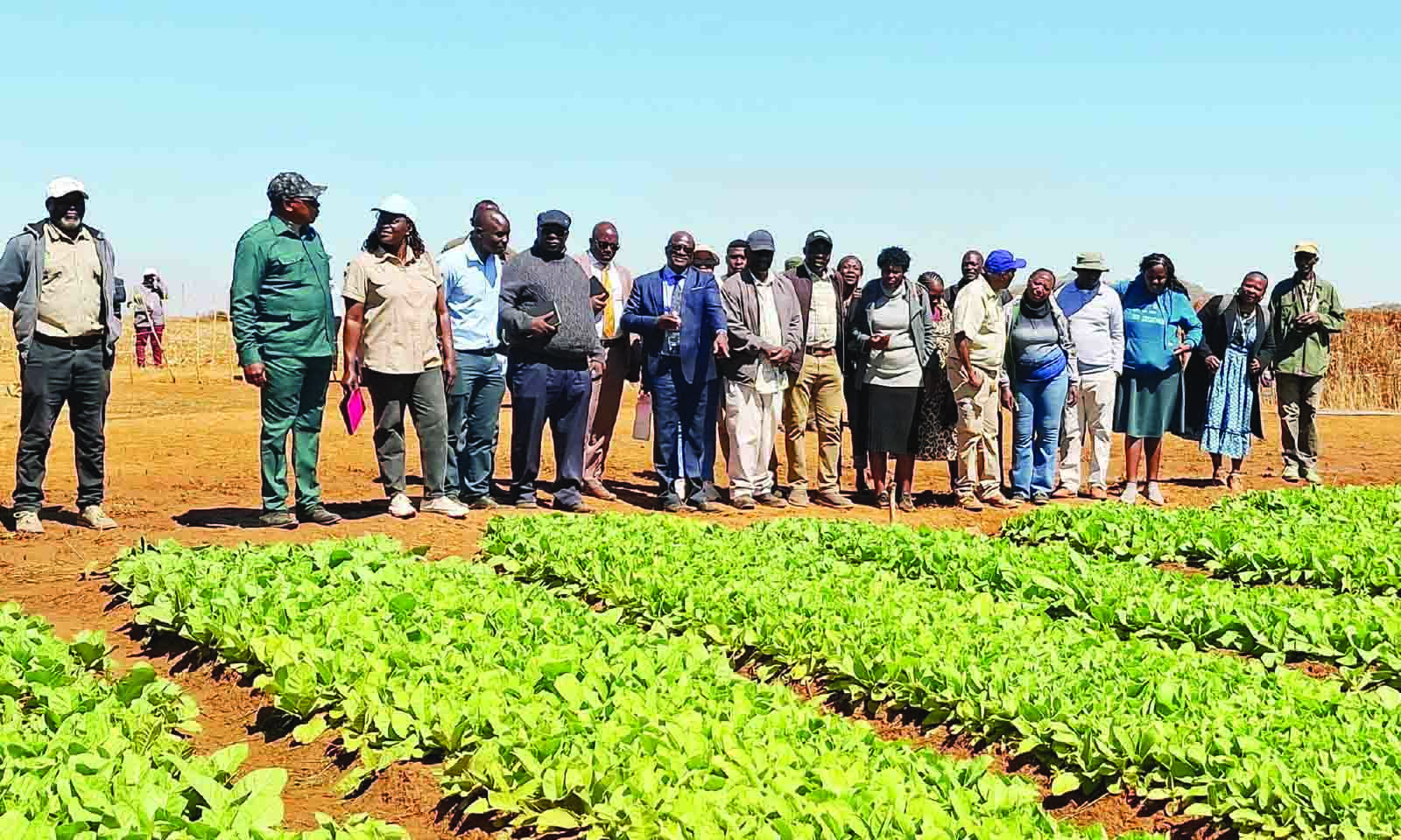 Namibians to learn from Mash West farmers