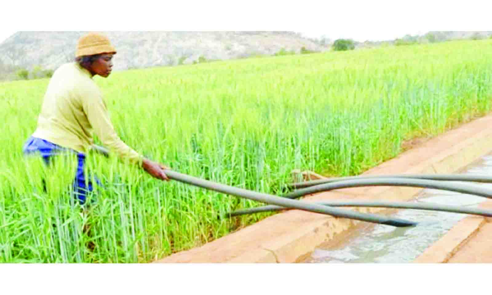 Agricultural Marketing Authority onboards 3 million farmers