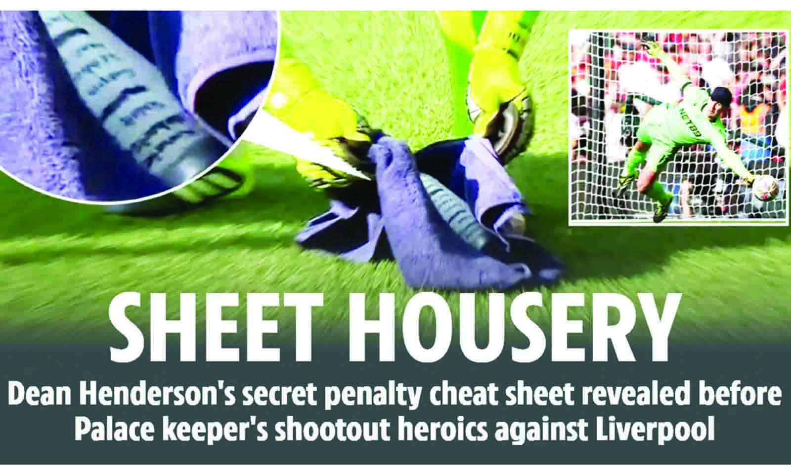 SHEET HOUSERY