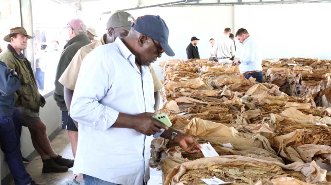 Tobacco exports reach US$1,36 billion in December