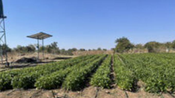Village Business Units transform lives