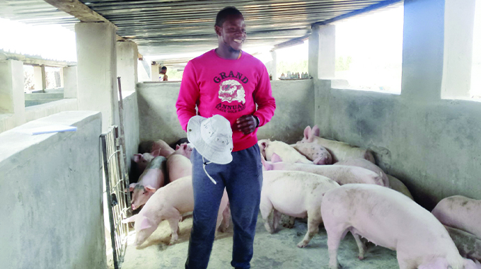 Murimi wechidiki opura mari nenguruve . . . avakisa dzimba, kutenga motokari