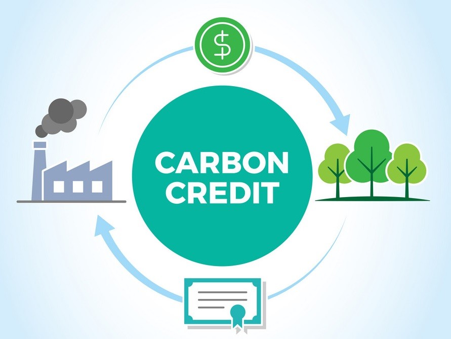 Zimbabwe aims to Harness Carbon Credits for sustainable development